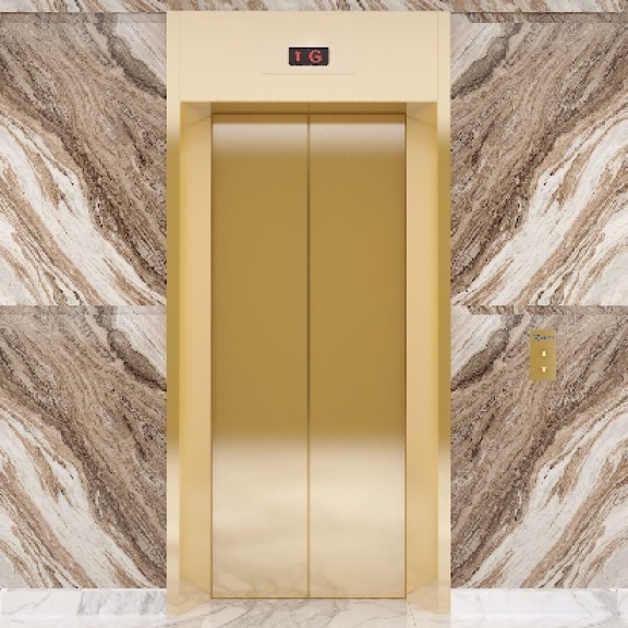 Cửa Tầng Thang Máy 5